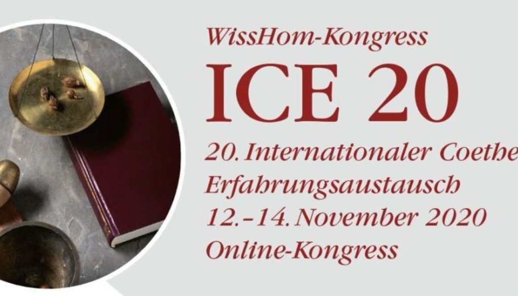 ICE20_Logo_OnlineKongress_Ausschnitt