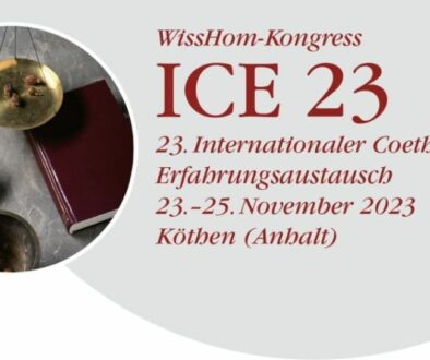ICE 23_Logo_komplett_Ausschnitt_1000