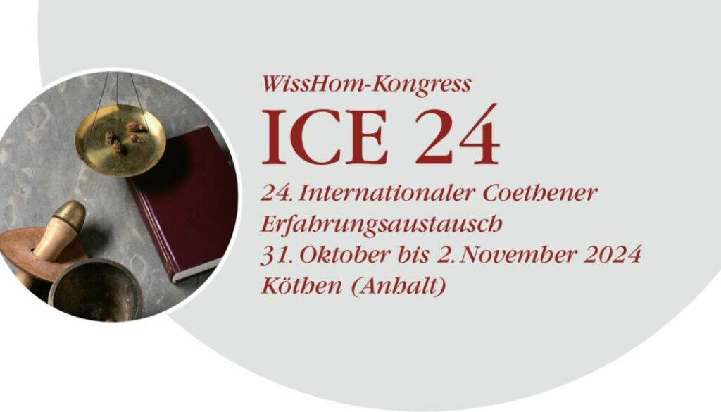 ICE 24_Logo_komplett_Ausschnitt_Original